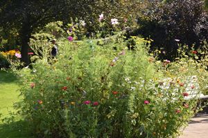 Blomsterbed der blomster